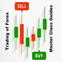 Forex Trading Strategies