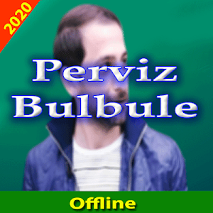 Perviz Bulbule 2020 İnternet o Screenshot 0