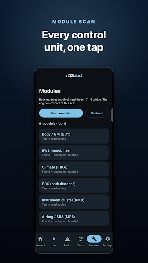 r53obd Screenshot 1