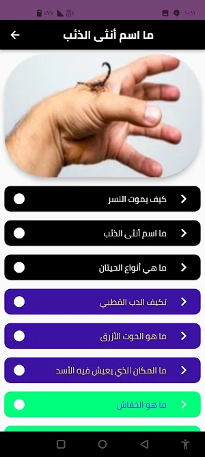 حيوانات مفترسة Screenshot 3