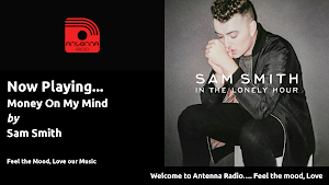Antenna Radio Screenshot 2