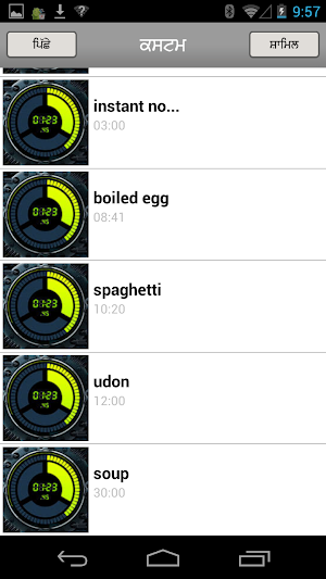 Energy Timer(Punjabi/English) Screenshot 3