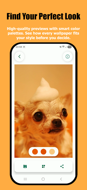 WallSwipe: Swipe Wallpapers Screenshot 0