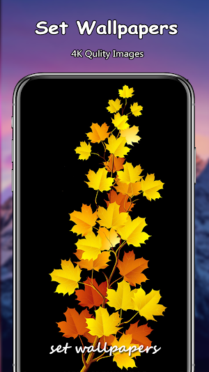 Autumn Wallpapers PRO Screenshot 3