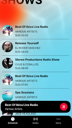 IBIZA LIVE RADIO Screenshot 3