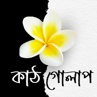 কাঠ গোলাপ - উপন্যাস