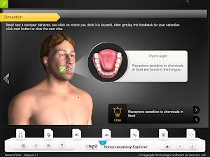 HumanAnatomy-NervousSystem Screenshot 3
