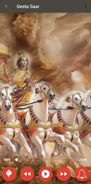 Bhagawad Geeta Saar Screenshot 1