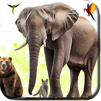 ABC Animal Sounds