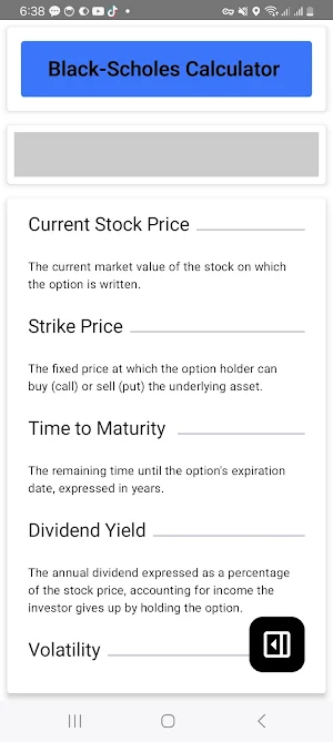Black Scholes Calculator Screenshot 2