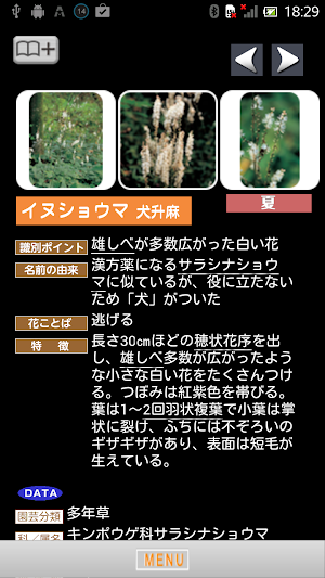 季節の野草・山草図鑑 Screenshot 3