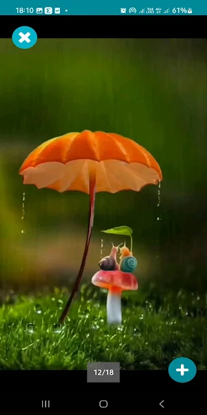 Romantic Love Wallpaper HD Screenshot 3