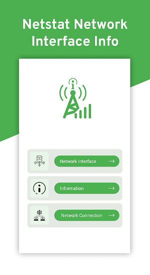 Netstat Network Interface Info Screenshot 3