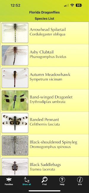 Florida Dragonflies Screenshot 3