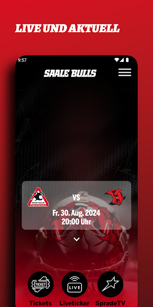 Saale Bulls Screenshot 2