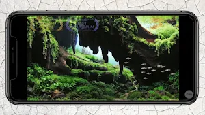 Aquascape Layout Design 1 Screenshot 3
