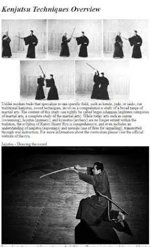 How to Do Kenjutsu Techniques Screenshot 2
