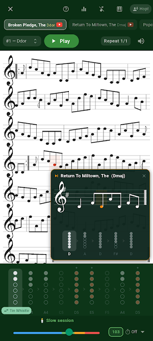 Little Session: Irish Tunes Screenshot 0