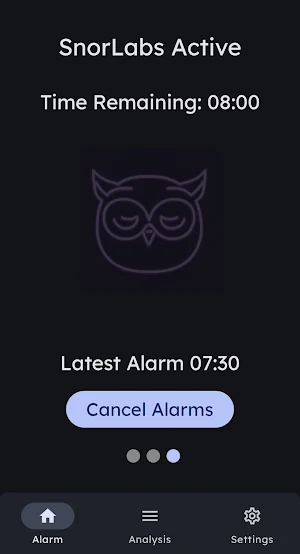 Snorlabs Screenshot 2