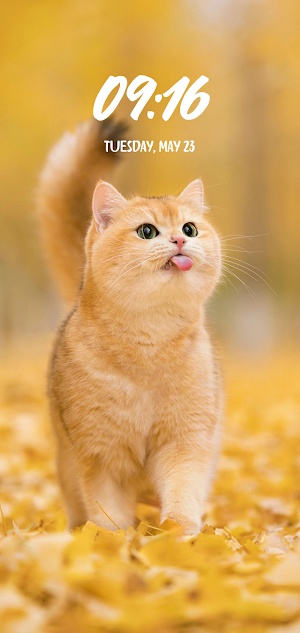 Animal Wallpaper Screenshot 1