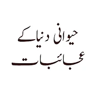 Jadu Chinna Amliyat