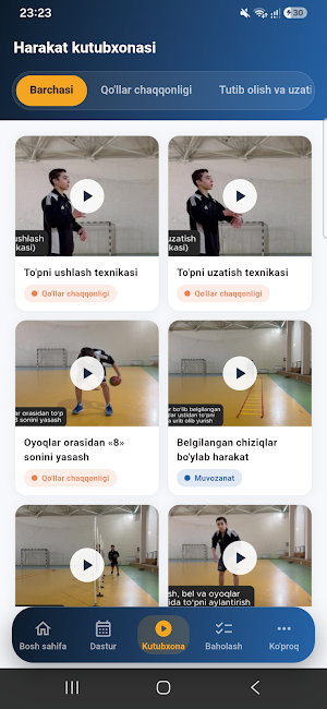 DCD Handball Screenshot 1
