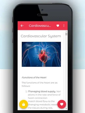 Human Anatomy & Physiology Screenshot 2