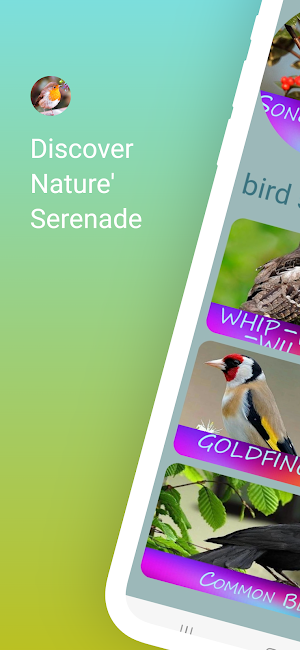 Singing Birds Screenshot 0