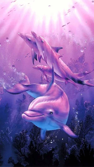 Dolphin Wallpapers Screenshot 1