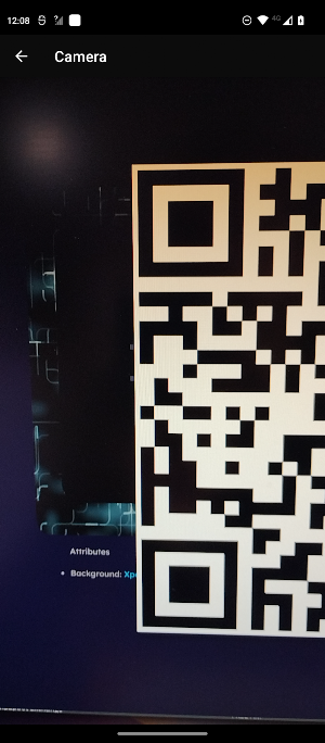 Loop Merchant Screenshot 2