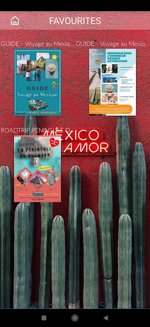 MEXIQUE AUTHENTIQUE Screenshot 1