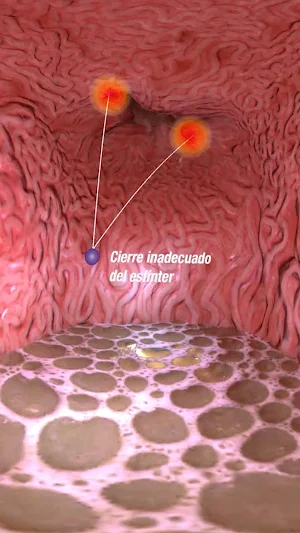 VR Gastro Screenshot 2