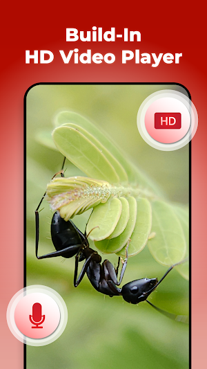 Vidmaze - Video Player Manager Screenshot 1