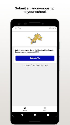 Manning HS Screenshot 0