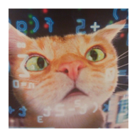 Mathcat