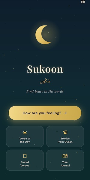 Sukoon: Quran for Your Mood Screenshot 0