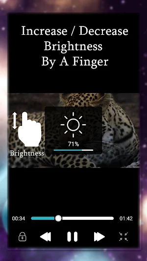 Vidis Full HD Video Player Screenshot 3