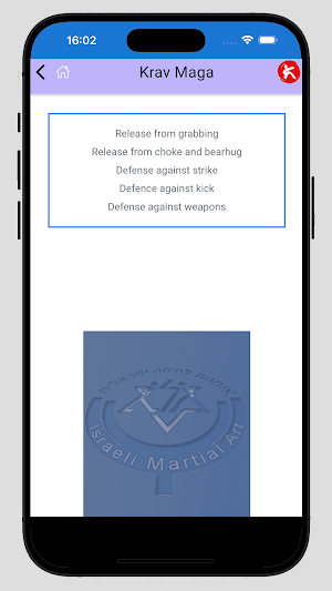 Krav maga All Screenshot 3