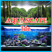Aquascape Idea