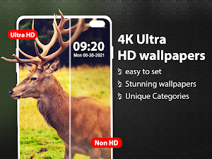 Wallpaper: HD & 4k Wallpapers Screenshot 0