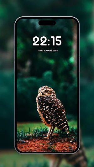 Cute birds wallpapers Screenshot 0