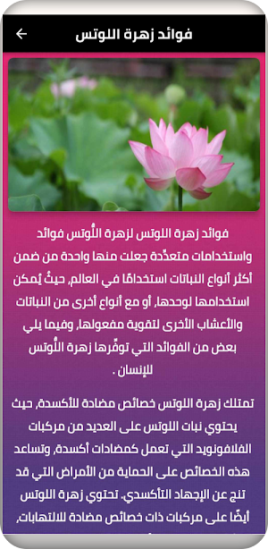 اللوتس Screenshot 0