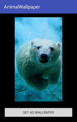 Animal Wallpaper Screenshot 3