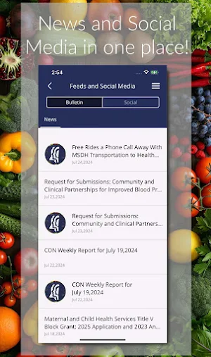 MSDH Healthy App Screenshot 3