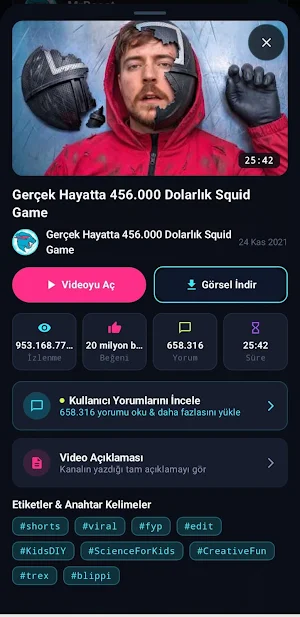 EFE AI Analysis Screenshot 1
