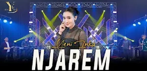 Lagu Yeni Inka Njarem Offline Screenshot 0