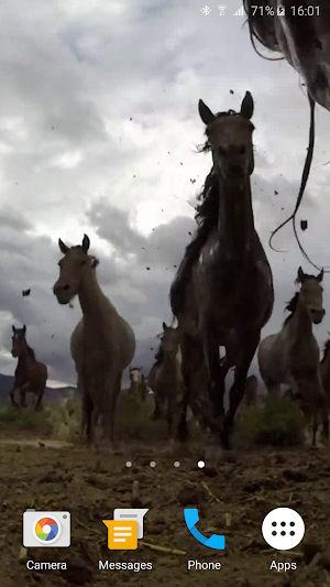 Wild Horses Live Wallpaper Screenshot 2
