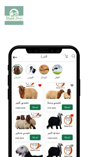 Halal حلال Screenshot 3