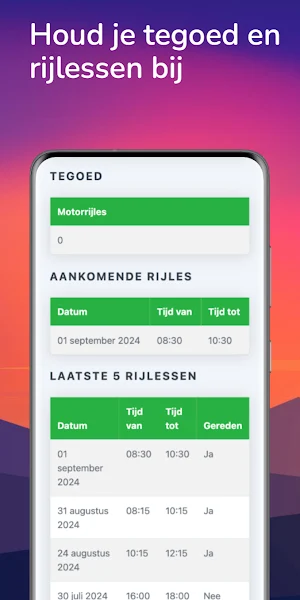 Rijbewijs bij Marthijs Screenshot 2