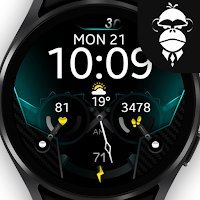 Dream 113 Digital Watch Face